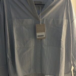 Everlane Light Blue Pinstripe Blouse